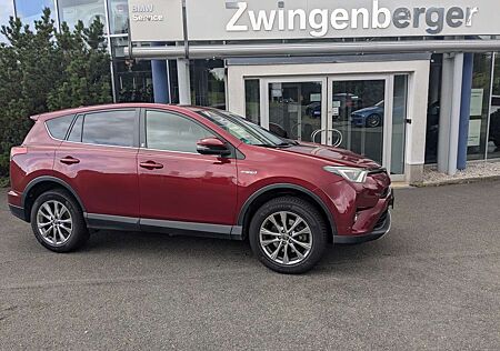 Toyota RAV 4 2,5Hy. Sonderm. Team Deutschland LED RFK