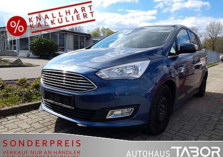 Ford Grand C-Max Grand 1.0 EB Titanium Navi RFK PDC SHZ LM