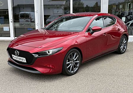 Mazda 3 Selection Matrix Bose 360° Navi SHZ Lenkradhei