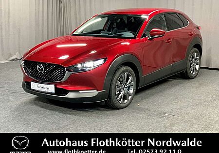 Mazda CX-30 179PS SELECTION*DESIGN*BOSE*KAMERA