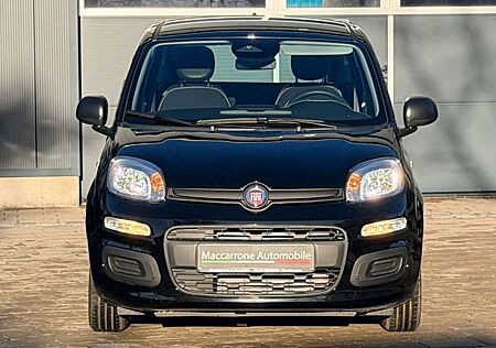 Fiat Panda 1.0 GSE Hybrid*DAB*City-Paket*PDC