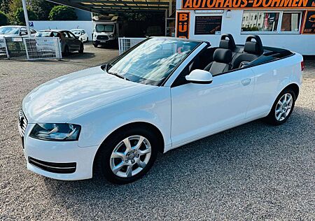 Audi A3 Cabriolet Attraction+Klima+Sitzheizung