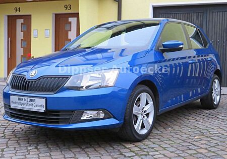 Skoda Fabia "Cool Plus"_Klima_Parkpilot_8 fach ber...