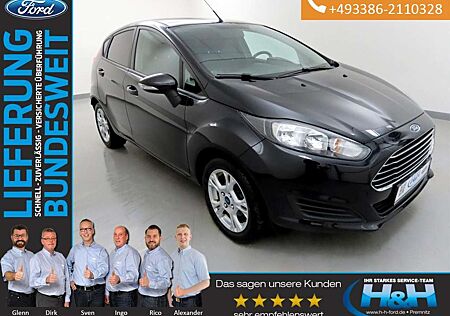 Ford Fiesta 1.0 EcoB Trend Winterpaket+LMF