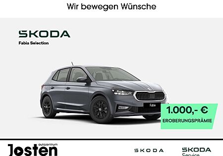 Skoda Fabia Selection 1.0TSI Licht&Sicht Winter+ SideAssist Pa