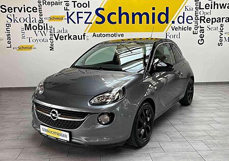 Opel Adam Glam * Panorama * FlexFix *