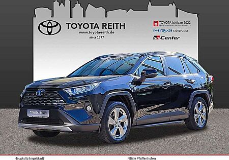 Toyota RAV 4 2.5 4x4 Hybrid Team Deutschland - Trittbretter - S