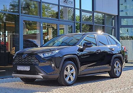 Toyota RAV 4 2.5 4x4 Hybrid Team Deutschland - Trittbretter - S