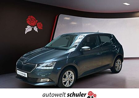 Skoda Fabia 1.0 TSI Ambition SmartLink SHZ Rfk