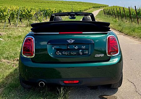 Mini Cooper Cabrio Aut.