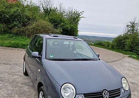 VW Lupo Volkswagen Rave