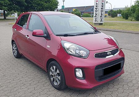Kia Picanto 1.0 1. Hand Klima Alu Tüv 06/2027