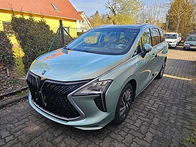 DFSK Others NOBLE+LEDER+7SITZE+PANORAMA+