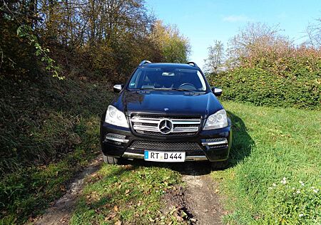 Mercedes-Benz GL 350 CDI 4Matic (164.822) 7Sitzplätze