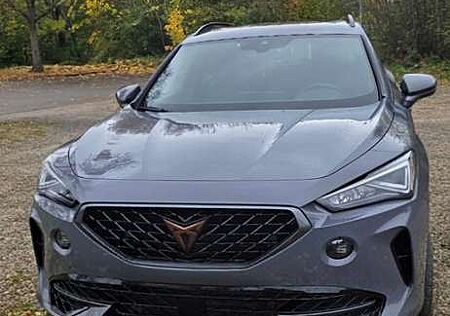 Cupra Formentor VZ 2.0 TSI 4Drive DSG