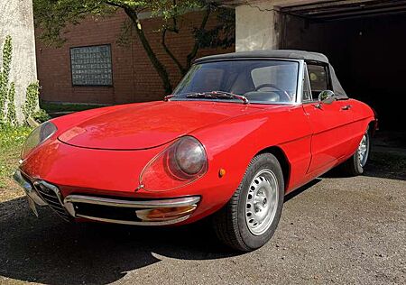 Alfa Romeo Spider Rundheck 1600