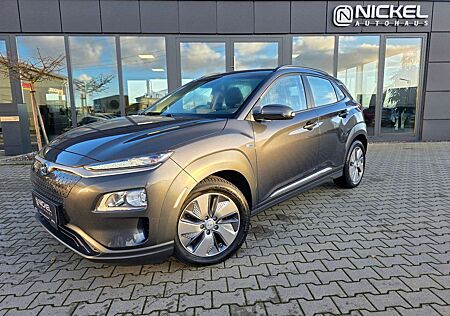 Hyundai Kona Style Elektro 64KW*Led*Kamera*NAVI*