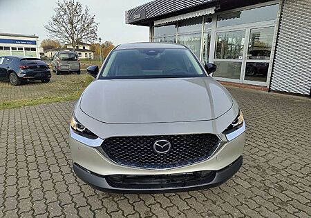 Mazda CX-30 2.5L e-SKYACTIV G 140ps Homura