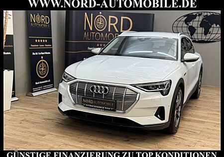 Audi e-tron 50 QU. Leder/Navi/Kamera/20/Tour/ACC