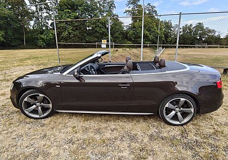 Audi A5 Cabrio 3.0 TDI DPF quattro S tronic