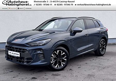 Cupra Terramar 1.5 e-Hybrid DSG Head-Up Navi Park Assist Sennheis