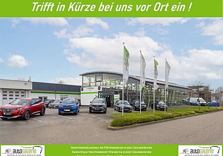 Leapmotor T03 T03 37.3kWh