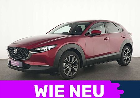 Mazda CX-30 Selection BOSE|Navi|Kamera|Head-up-Display