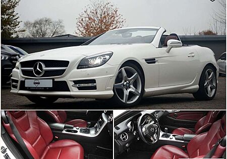 Mercedes-Benz SLK 250 CDI Roadster AMG-LINE|LEDER ROT|HARMAN