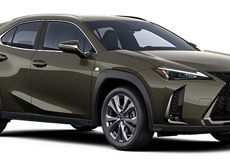 Lexus UX 300h F Sport Design Klima Kamera Sitzhzg