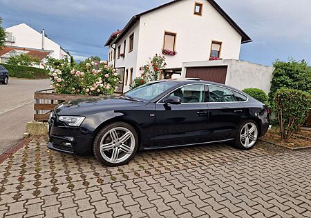 Audi A5 +3.0+TDI+Sportback+DPF+multitronic S/line