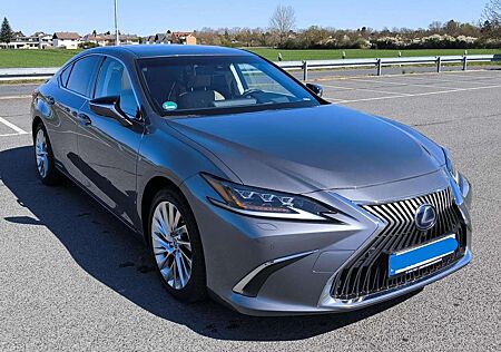 Lexus ES 300 ES Hybrid 300h Luxury Line,Matrix LED, 360°