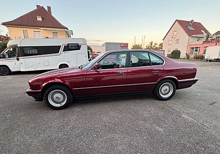 BMW 525 gebraucht kaufen BMW 525 i TOPZUSTAND 1.Hand