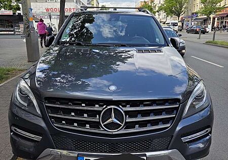 Mercedes-Benz ML 350 CDI BlueTec (166.024)
