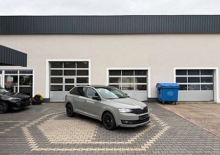 Skoda Rapid /Spaceback Spaceback Monte Carlo Nav