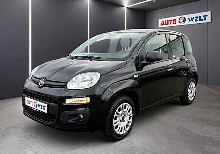 Fiat Panda 1.2 8V Easy Klimaanlage Sitzheizung