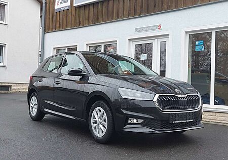 Skoda Fabia Selection