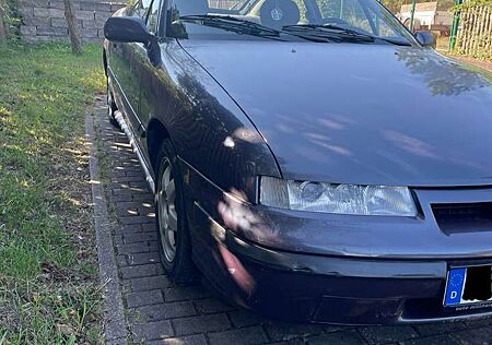 Opel Calibra Young