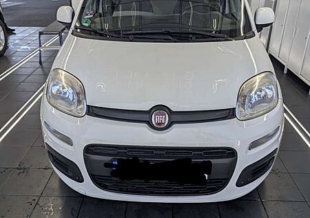 Fiat Panda Lounge