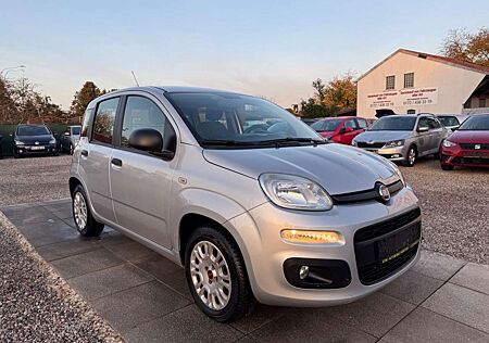 Fiat Panda Easy Sportsitze Sport Lenkrad