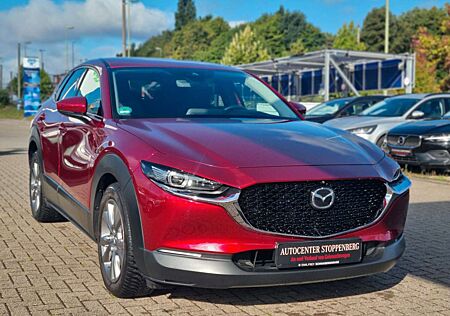Mazda CX-30 Selection/Navi/Kamera360/Garantie/1.H