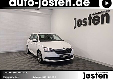 Skoda Fabia Cool Plus DAB SHZ PDC Swing Klima