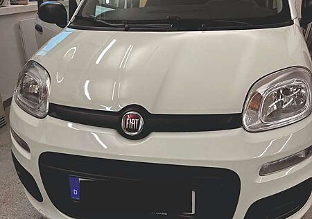 Fiat Panda 1.2 Start