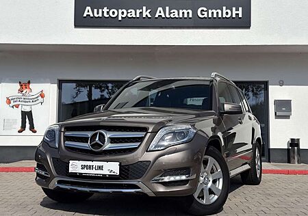 Mercedes-Benz GLK 220 CDI BlueEfficiency 4M.G-Tr.Klima Bi-Xen