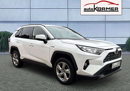 Toyota RAV 4 Hybrid 4x2 Team D CarPlay,Navi,ACC,el.Heckklappe