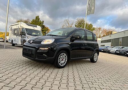 Fiat New Panda 1.0 *Klimaanlage DAB ZV mit Funk*