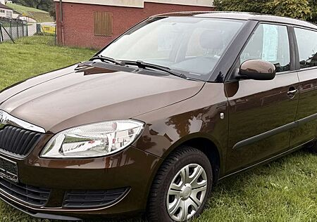 Skoda Fabia Cool Edition KLIMA Steuerkette neu