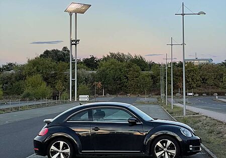 VW Beetle Volkswagen Sport