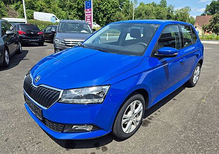 Skoda Fabia 1.0 MPI Active *8fach brft/Klima/Radio/TÜV neu*