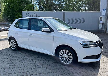 Skoda Fabia 1.0 TSI Active *SHZ*8-fach bereift*