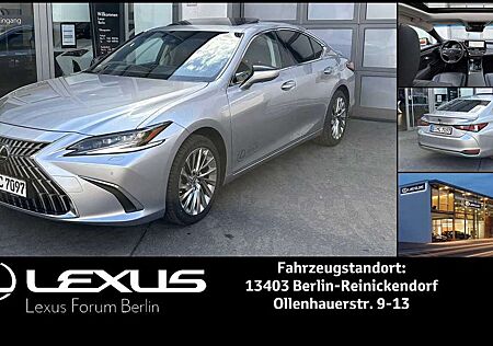 Lexus GS 300 ES 300 ES300h Luxury Line